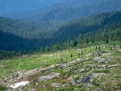 Large forest area in a mountain valley. Mountain forest lands, national reserve. A mountain valley with an evergreen forest. photo