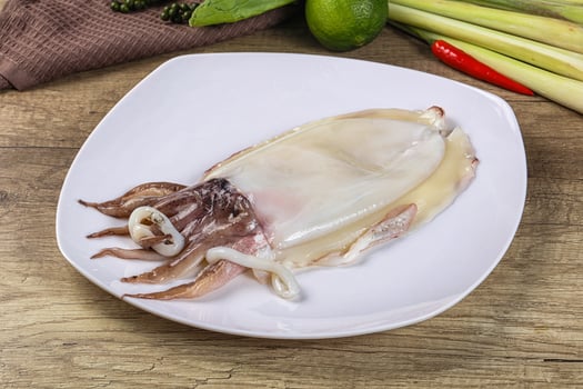 A white plate with an octopus on it photo