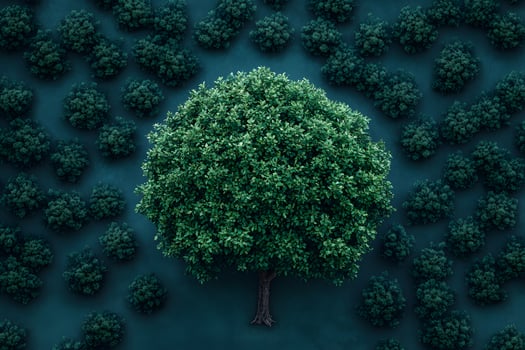 Aerial View of Lush Green Tree Surrounded by Smaller Trees in Serene Forest Setting photo