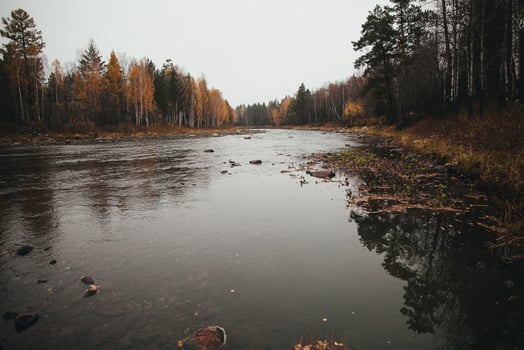 A tranquil watercourse flowing through a forested landscape on a cloudy day photo