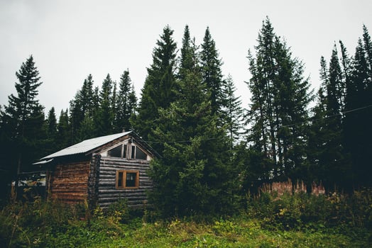 An old wooden cabin in the woods photo