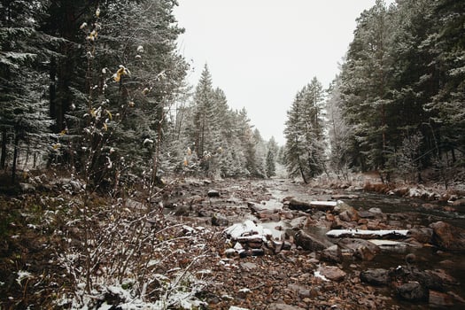 A river in the woods with snow on the ground photo
