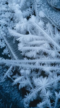 Closeup of Delicate Ice Crystals and Frost Patterns with Sharp Details on Dark Grungy Surface in Winter photo