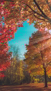Vibrant Autumn Foliage with Red Yellow Leaves and Sunlight Beams Against Bright Blue Sky in a Forest photo