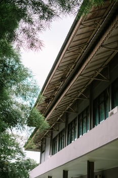 A building facade with a unique roofline, seen through green foliage. photo