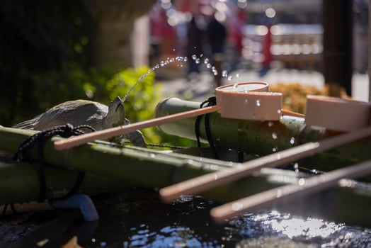 A fountain at Kameido Tenjin shrine in Tokyo photo