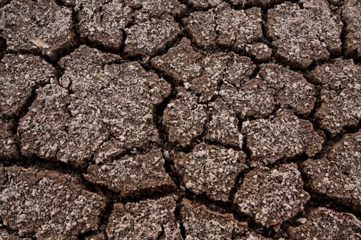 A close up of a cracked earth surface photo