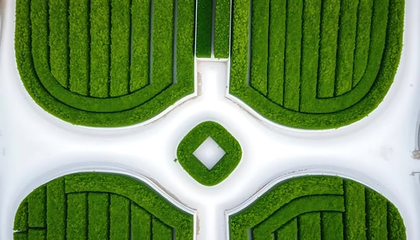 An aerial view of a green lawn with a circular design photo