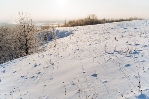 A snowy hill with bare trees and grass photo