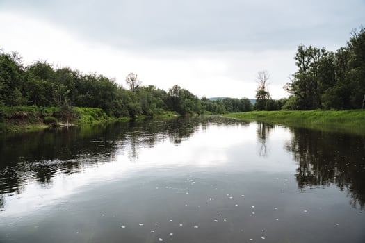 Picturesque and serene, this river landscape boasts lush greenery and calm waters, offering a tranquil environment in natures embrace for relaxation and reflection photo