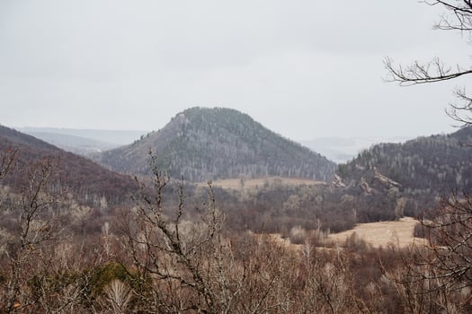 This picturesque view features a stunning mountain range where lush trees can be observed in the foreground, beautifully complementing the majestic mountains located in the background photo