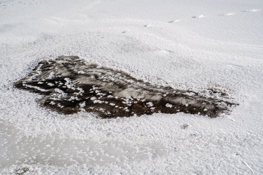 A snow covered area with footprints in the snow photo