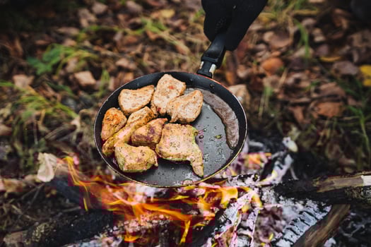 A person is currently engaged in the process of cooking food in a frying pan that is positioned over a flickering fire, surrounded by a natural landscape with various features photo