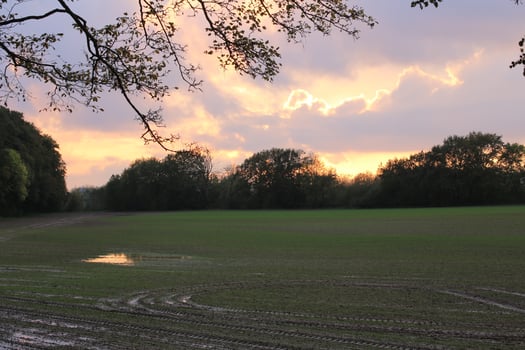 Field in Mecklenburg-Vorpommern, Germany, in the evening with orange sky. photo
