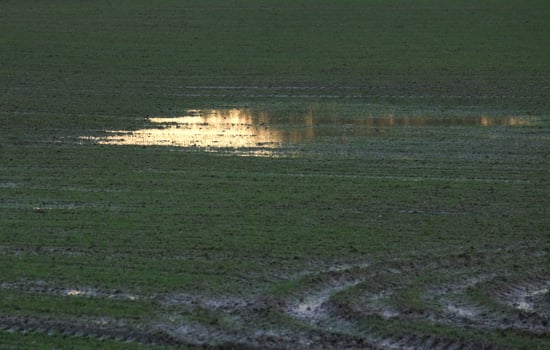 Field in Mecklenburg-Vorpommern, Germany, with a puddle reflecting the orange sky. photo