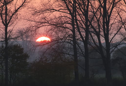 Rural landscape in Mecklenburg-Vorpommern in Germany, in the autumnal sunset. photo