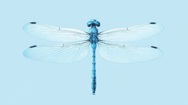 Dragonfly with translucent wings resting on a light blue background showcasing its intricate details and vibrant colors photo