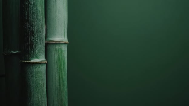 Tall green bamboo stalks against a dark green background create a calming natural decor element photo