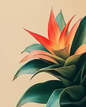 Minimalist close up of a vibrant Bromeliad flower with colorful leaves against a soft yellow background photo