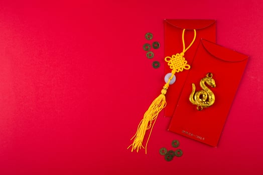 Chinese new year concept. Lunar year of snake photo