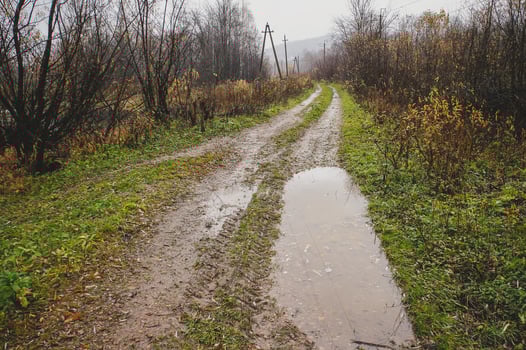 A muddy road with a puddle, surrounded by grass and plants photo