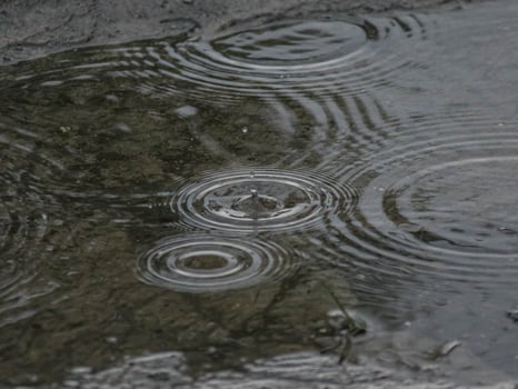Raindrop Ripples Natural Patterns photo