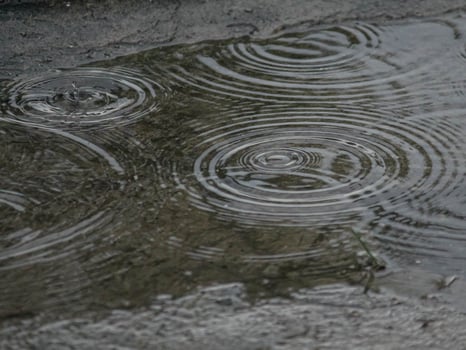 Puddle Ripples Serene Beauty photo