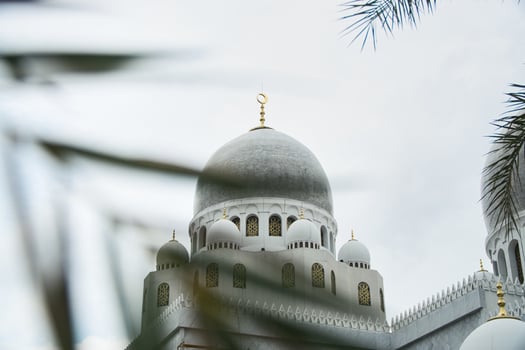 Elegant Sheikh Zayed Grand Mosque Dome Architecture Surrounded by Palm Leaves on Cloudy Day photo