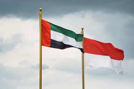 Flags of UAE and Indonesia Waving Against a Cloudy Sky photo