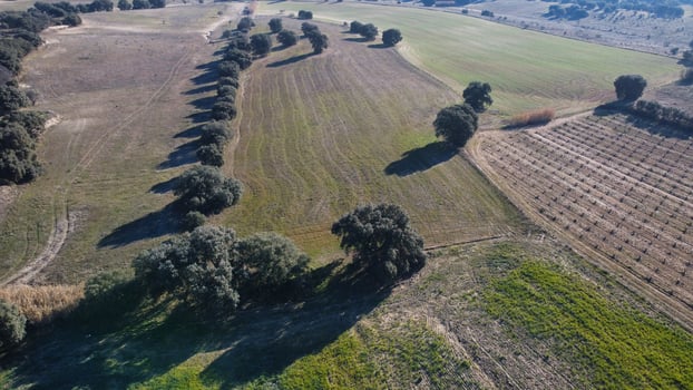 landscape, view, nature, trees, spain, sunny, from photo