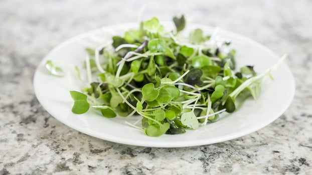 A white plate holds a cluster of fresh, vibrant microgreens photo