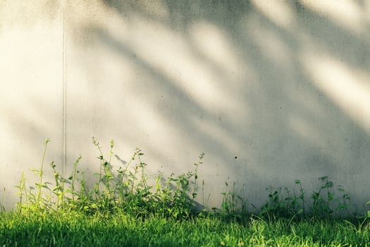 Sunlit Concrete Wall with Green Grass and Shadows Creating a Serene Natural Scene photo
