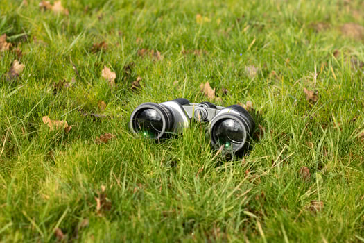 Black binoculars on a fallen tree, travel concept photo