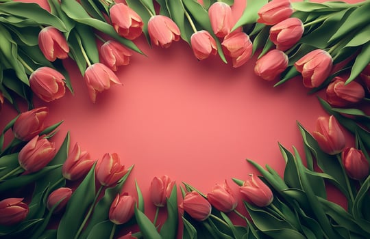 Pink tulips arranged creatively on a pastel background showcasing floral beauty photo