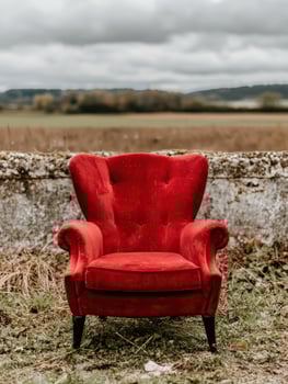 Red velvet armchair in a field photo