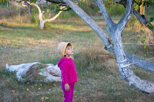 A little girl or child in a headdress on a walk in a park, garden or village stands and looks at a tree or apple tree. photo