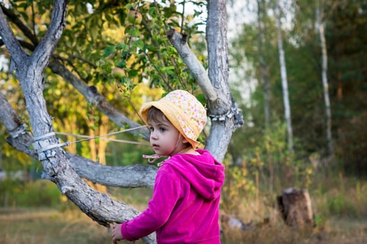 A little girl or child in a hat or headdress while walking in a park or garden tries to climb a tree or apple tree. photo