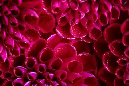 Close-Up of Vibrant Red Dahlia Petals with Water Droplets.aesthetic photo