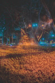 A light event showcasing a variety of plant and flower species in Flora Gardens photo