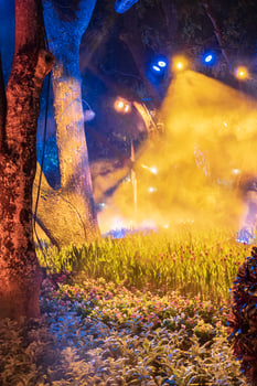 A dazzling winter night in Chiang Rai, Thailand, with a luminous tree beneath a starry sky. photo