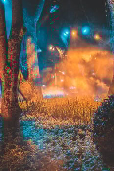 A festival of light in a park with a variety of plants and blooming flowers photo