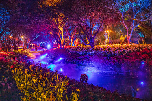 A festival of light in a park with a variety of plants and blooming flowers, Chiang Rai, Thailand. photo