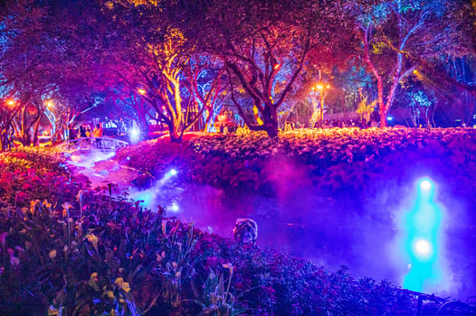 Flora Park's light festival features a variety of flowers and plants. photo