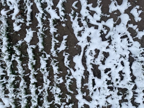 Winter snowy field under a clear blue sky 17 photo