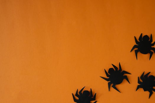 Spider ornament for copy space background photo