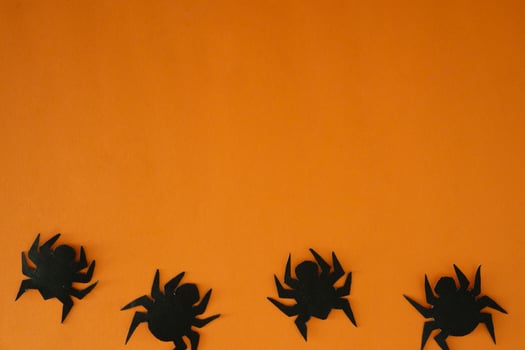 spider decoration for copy space background photo