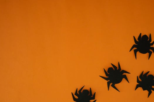 four spider paper cut out for copy space background photo