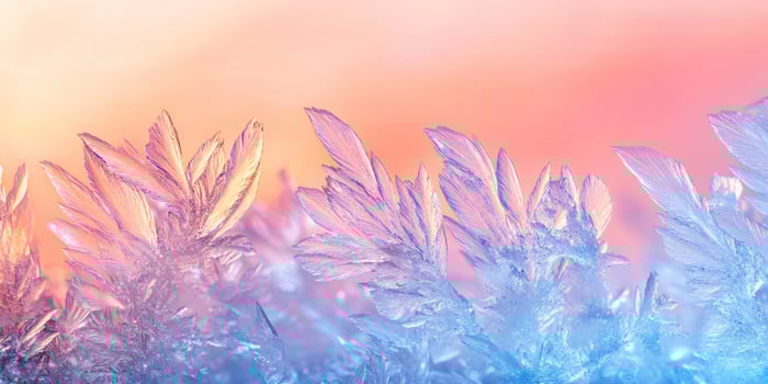 Frozen ice crystals on a sunset background photo
