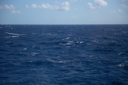 The Ocean Blue photo