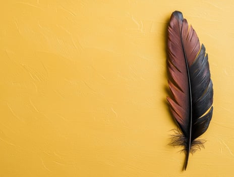 Single dark brown feather on yellow background photo